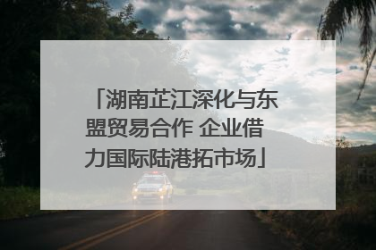 湖南芷江深化与东盟贸易合作 企业借力国际陆港拓市场