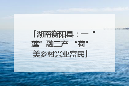湖南衡阳县：一“莲”融三产 “荷”美乡村兴业富民