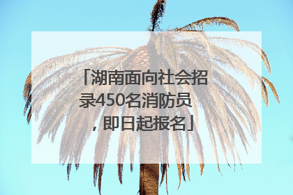 湖南面向社会招录450名消防员，即日起报名