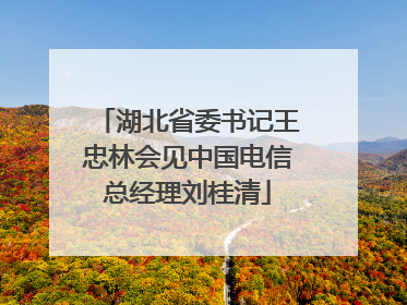 湖北省委书记王忠林会见中国电信总经理刘桂清
