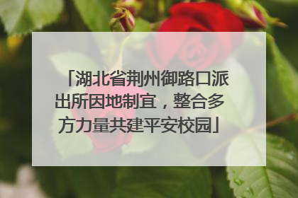 湖北省荆州御路口派出所因地制宜，整合多方力量共建平安校园