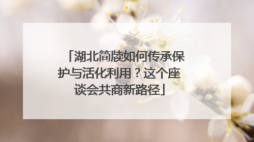 湖北简牍如何传承保护与活化利用？这个座谈会共商新路径