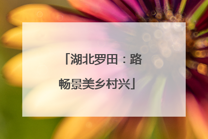 湖北罗田：路畅景美乡村兴