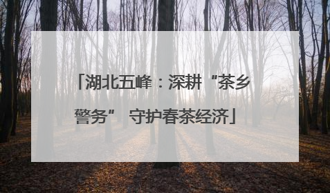 湖北五峰：深耕“茶乡警务” 守护春茶经济