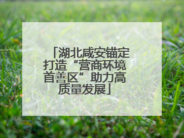 湖北咸安锚定打造“营商环境首善区”助力高质量发展