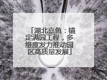 湖北嘉鱼：锚定满园工程，多维度发力推动园区高质量发展