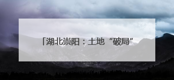 湖北崇阳：土地“破局”绘新卷 山乡巨变绽芳华