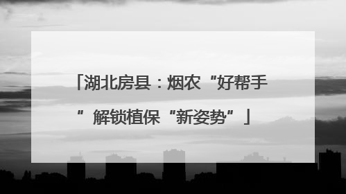 湖北房县：烟农“好帮手”解锁植保“新姿势”