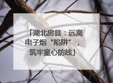 湖北房县：远离电子烟“陷阱”，筑牢童心防线