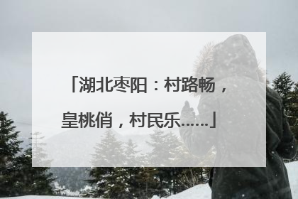 湖北枣阳：村路畅，皇桃俏，村民乐……