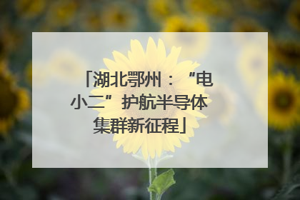 湖北鄂州：“电小二”护航半导体集群新征程