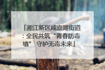 湘江新区咸嘉湖街道：全民共筑“青春防毒墙” 守护无毒未来