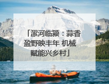 漯河临颍：蒜香盈野映丰年 机械赋能兴乡村