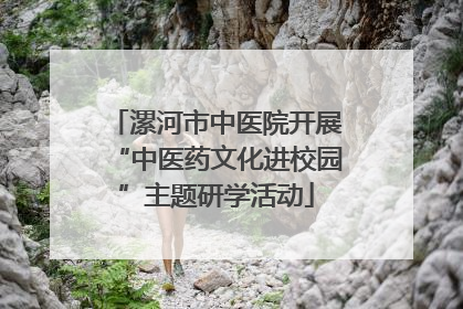 漯河市中医院开展“中医药文化进校园”主题研学活动