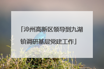 漳州高新区领导到九湖镇调研基层党建工作