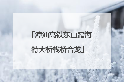 漳汕高铁东山跨海特大桥栈桥合龙