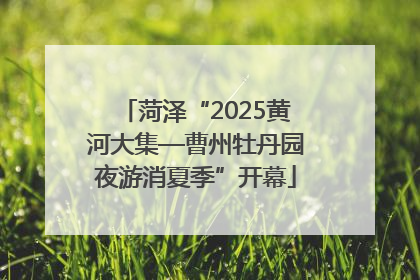 菏泽“2025黄河大集—曹州牡丹园夜游消夏季”开幕