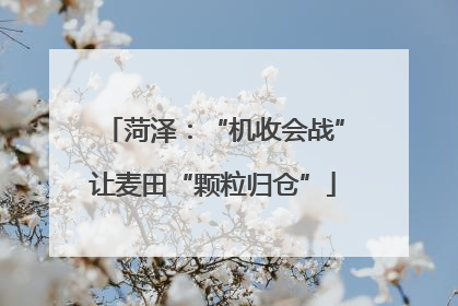 菏泽：“机收会战”让麦田“颗粒归仓”