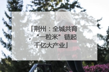 荆州：全城共育，“一粒米”链起千亿大产业