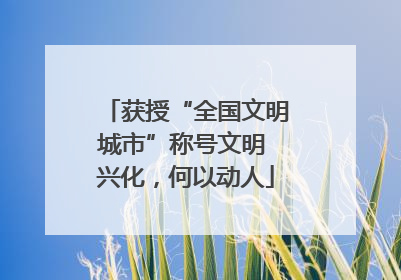 获授“全国文明城市”称号文明 兴化，何以动人