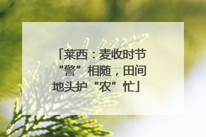 莱西：麦收时节“警”相随，田间地头护“农”忙