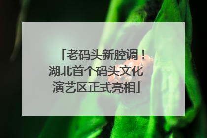 老码头新腔调！湖北首个码头文化演艺区正式亮相