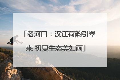 老河口：汉江荷韵引翠来 初夏生态美如画