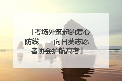 考场外筑起的爱心防线——向日葵志愿者协会护航高考