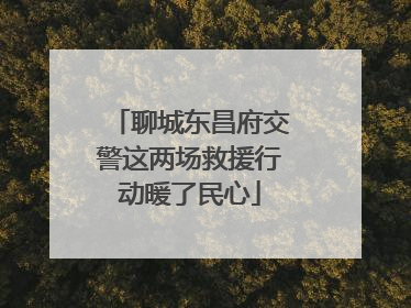 聊城东昌府交警这两场救援行动暖了民心