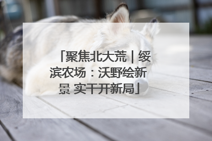 聚焦北大荒｜绥滨农场：沃野绘新景 实干开新局
