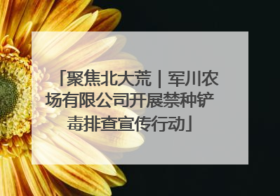 聚焦北大荒｜军川农场有限公司开展禁种铲毒排查宣传行动