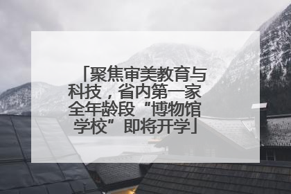 聚焦审美教育与科技，省内第一家全年龄段“博物馆学校”即将开学