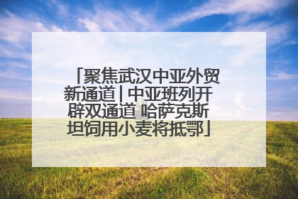 聚焦武汉中亚外贸新通道│中亚班列开辟双通道 哈萨克斯坦饲用小麦将抵鄂