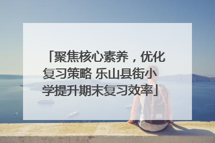 聚焦核心素养，优化复习策略 乐山县街小学提升期末复习效率