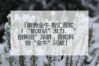 聚势金牛 智汇普陀〡“始发站”发力、“创新田”深耕，普陀科创“金牛”闪耀