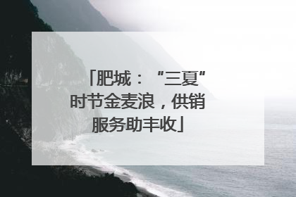 肥城：“三夏”时节金麦浪，供销服务助丰收
