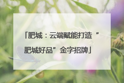 肥城：云端赋能打造“肥城好品”金字招牌