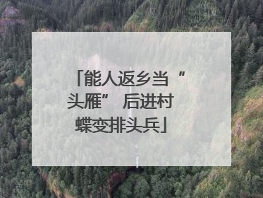 能人返乡当“头雁” 后进村蝶变排头兵