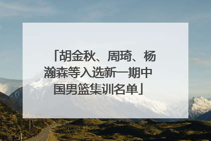 胡金秋、周琦、杨瀚森等入选新一期中国男篮集训名单