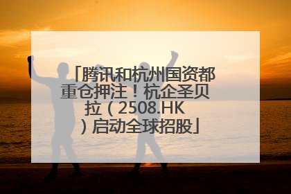 腾讯和杭州国资都重仓押注！杭企圣贝拉（2508.HK）启动全球招股