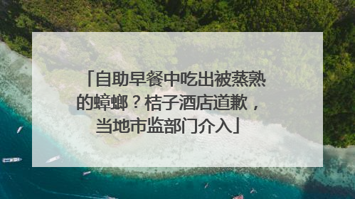 自助早餐中吃出被蒸熟的蟑螂？桔子酒店道歉，当地市监部门介入