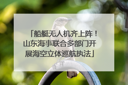 船艇无人机齐上阵！山东海事联合多部门开展海空立体巡航执法