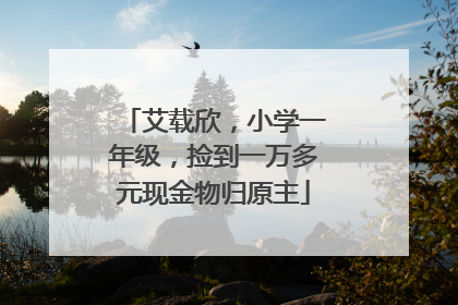 艾载欣，小学一年级，捡到一万多元现金物归原主