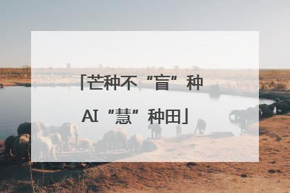 芒种不“盲”种 AI“慧”种田