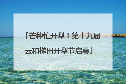 芒种忙开犁！第十九届云和梯田开犁节启幕
