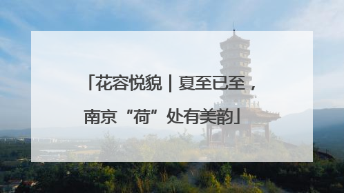 花容悦貌｜夏至已至，南京“荷”处有美韵