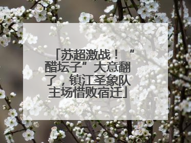 苏超激战！“醋坛子”大意翻了，镇江圣象队主场惜败宿迁
