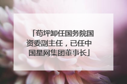 苟坪卸任国务院国资委副主任，已任中国星网集团董事长