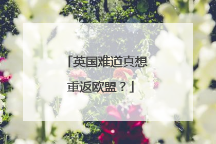英国难道真想重返欧盟？