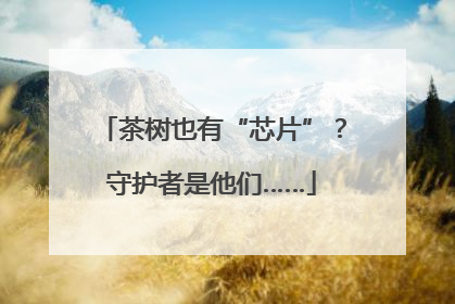 茶树也有“芯片”？守护者是他们……